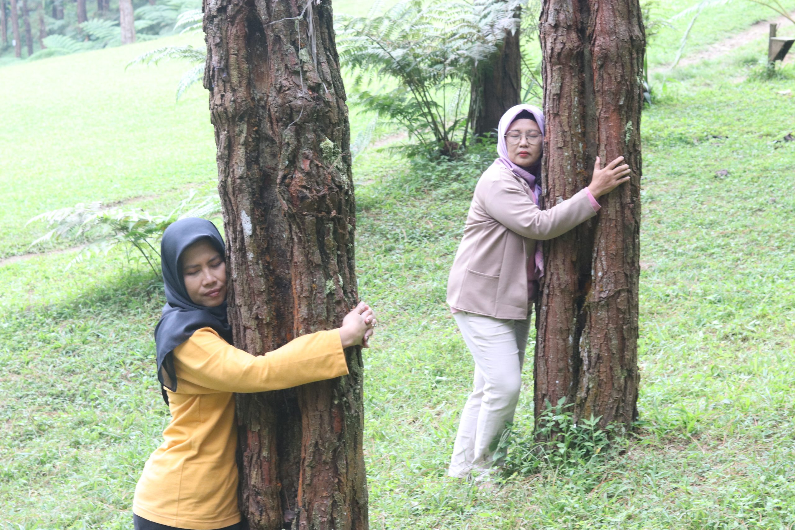 Soeselo Sadina Forest Bathing & Hidroterapi (Sun Q Ta Hotel & Resort)