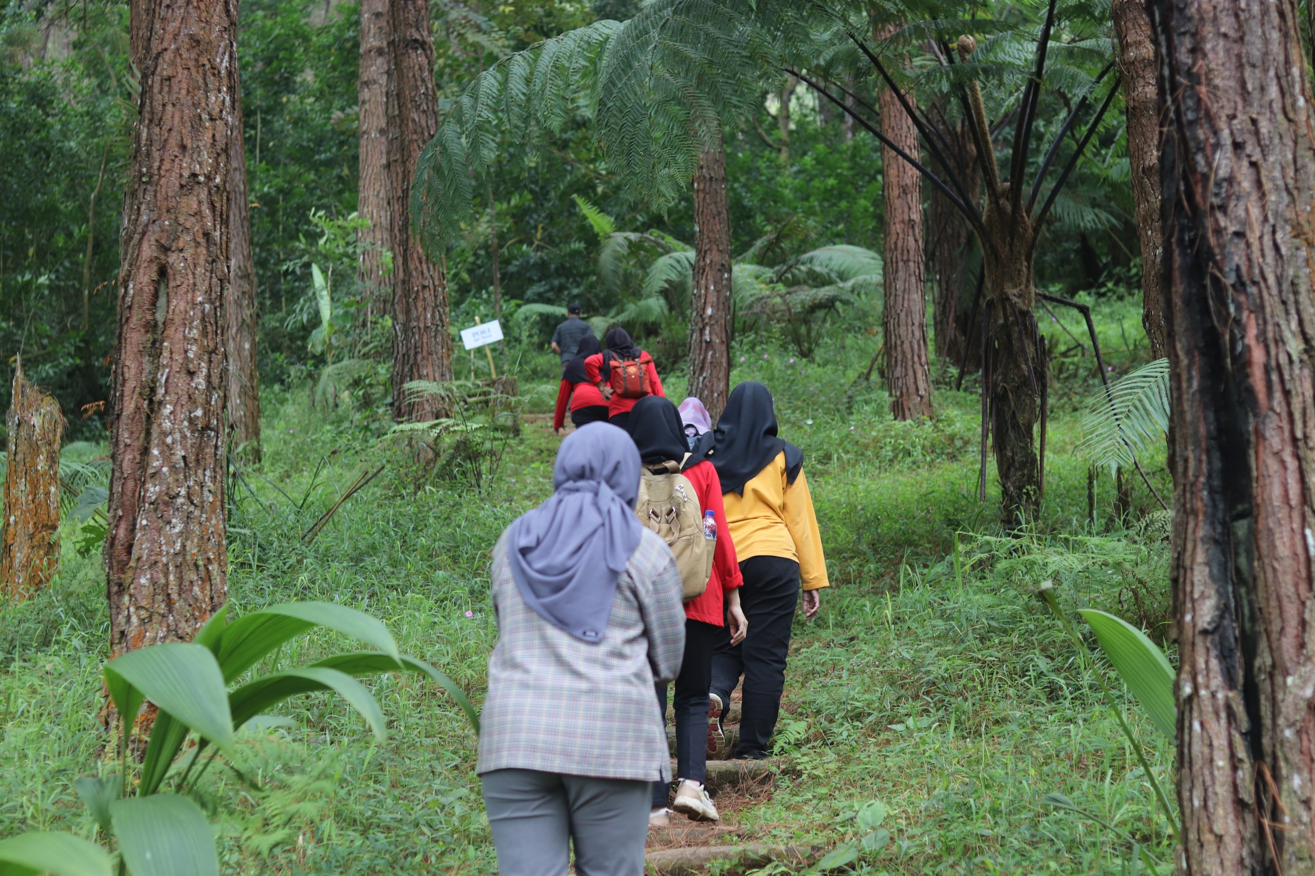 Soeselo Sadina Forest Bathing & Hidroterapi (Sun Q Ta Hotel & Resort)