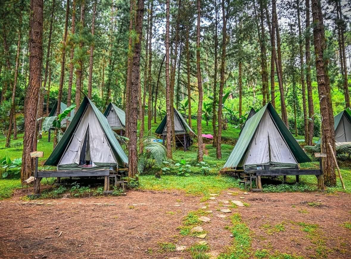 Paket Forest Bathing & Akupuntur Half Day