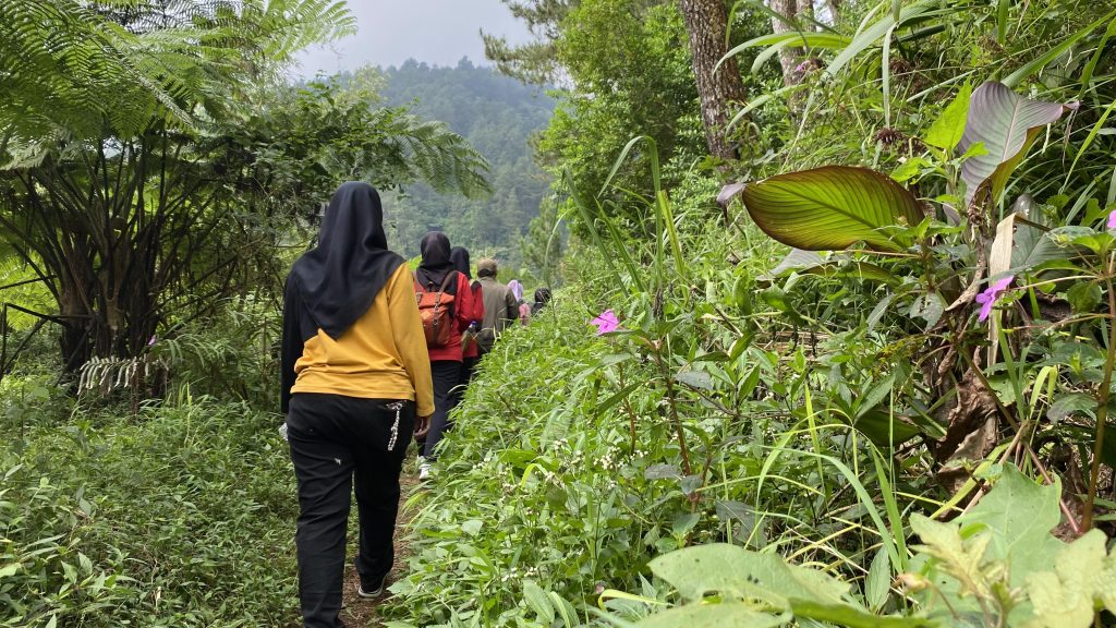 Paket Forest Bathing & Akupuntur Half Day