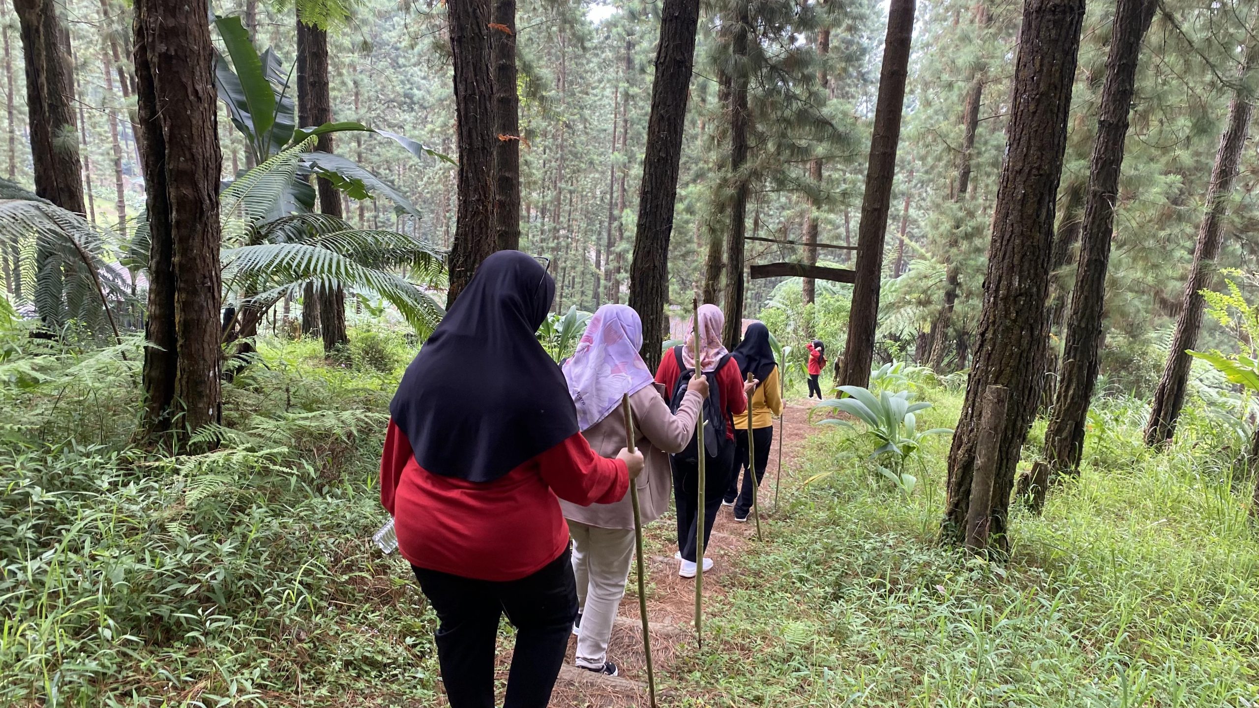 Paket Rumah Angsa Forest Bathing Half Day